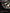 GOAT Everscore NXT LVL - Professioneel Dartbord